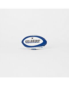DHL Stormers Replica Mini Rugby Ball